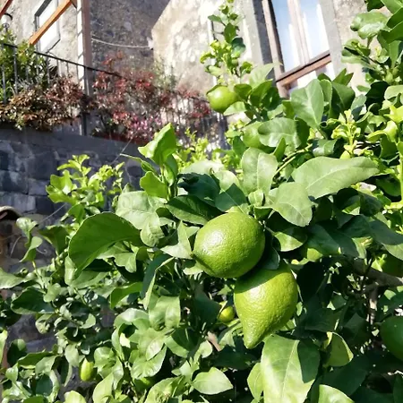 Farm stay La Pietra Antica O' Munti