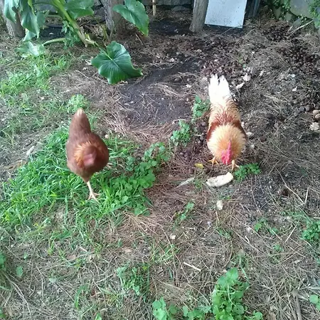 La Pietra Antica O' Munti